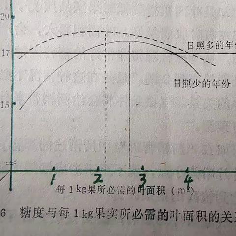 巨峰葡萄的适宜留果量与叶片之间的关系