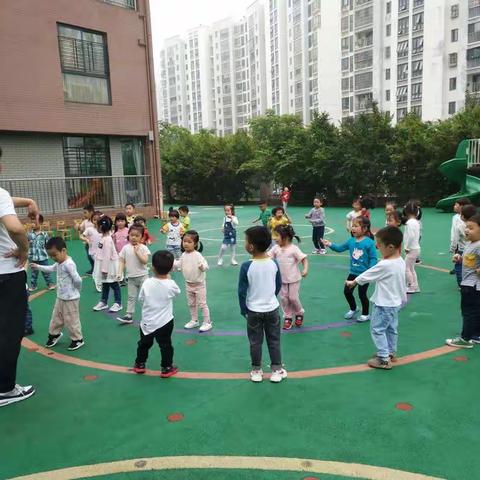 小一班体智能课―《百变小椅子》