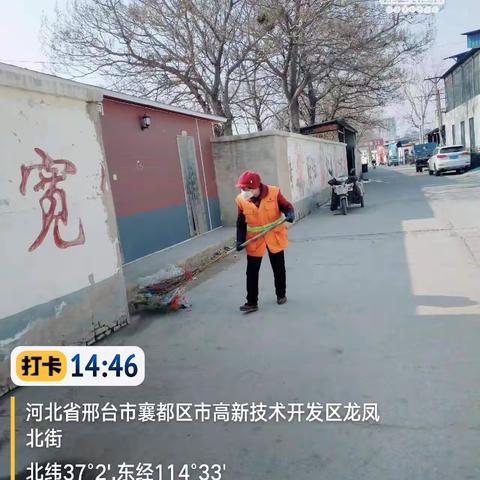 项目十五部