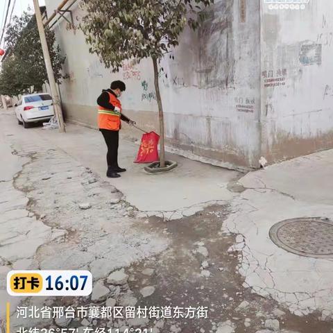项目十五部