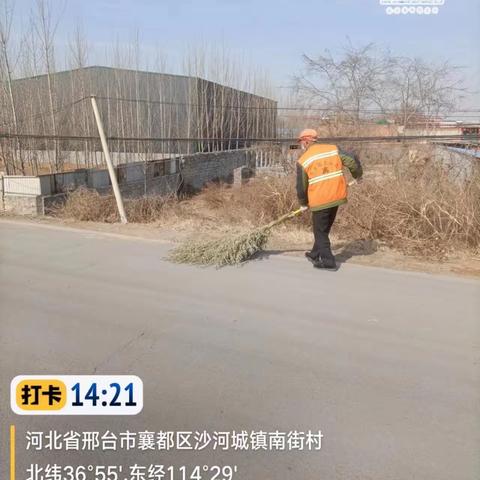 项目十五部