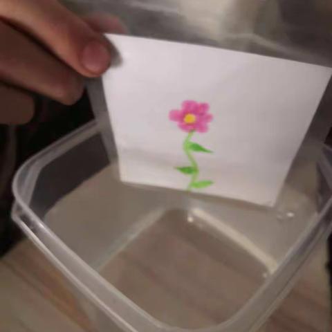 今天给大家带来一个好玩又神奇的科学小实验🧫——消失的花瓣🌸，那花瓣🌸是如何