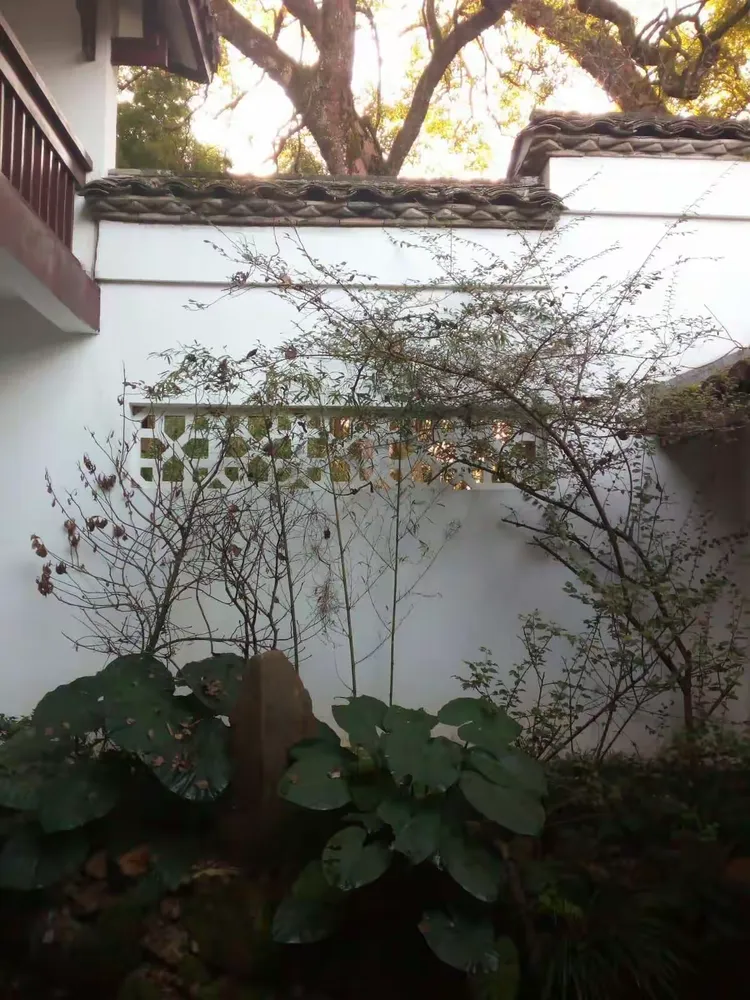半亩方塘一鉴开