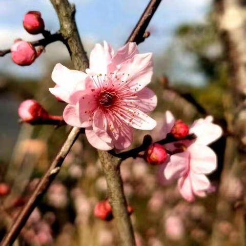 祁县小天使幼儿园——争做防疫好少年！（西六支中心园小班亲子互动第十九期）