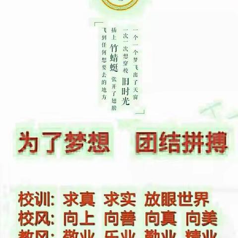 小手大手齐动手，垃圾分类记心头----紫金山街小学四年级186班劳动实践第三期