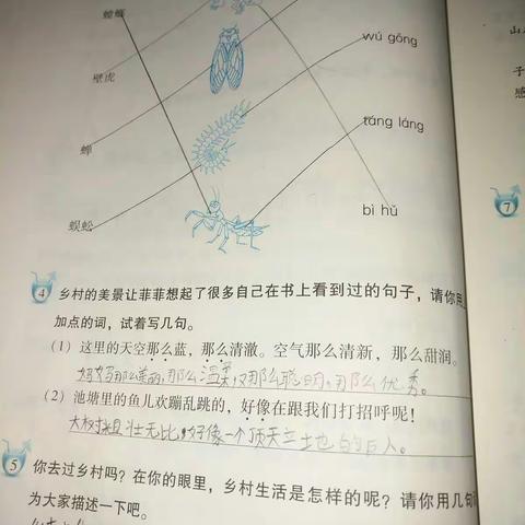 实验小学三（2）班         胡佳