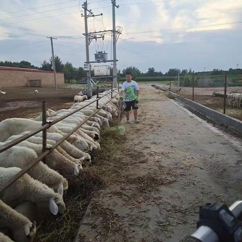 愉快的暑假生活，假期里除了学习以外就剩下生活中的劳动了，劳动使我快乐，习劳知感恩，劳动创造美好生活!