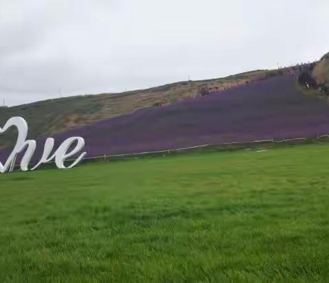 用四季的色彩，渲染美丽的世界