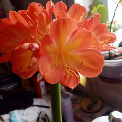 定律法则•世态