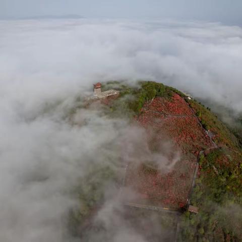 圣井山杜鹃花云海