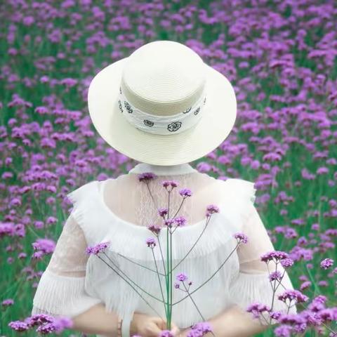 环境人像 l 春天那一抹紫色的马鞭花