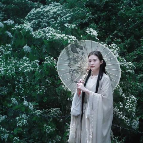 环境人像 l 灵运仙境桐花开