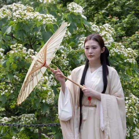 环境人像 l 五月桐花开白如雪