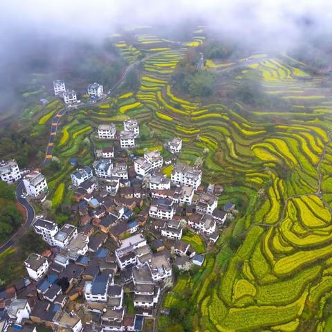我在婺源等你