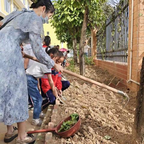 劳动“趣”时光——龙新小学214