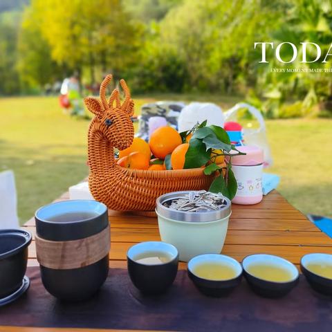 福娃小分队337打卡M1【231119-1217】