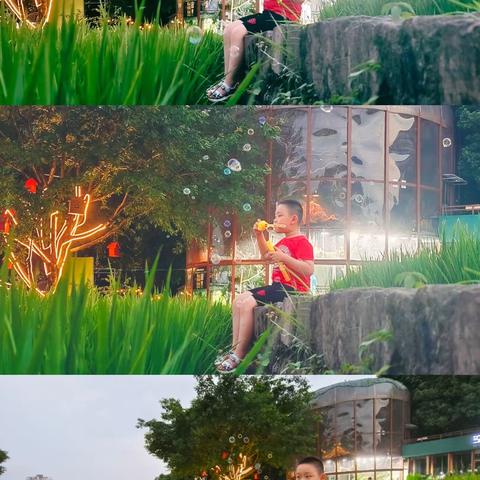 与12谈心录230708