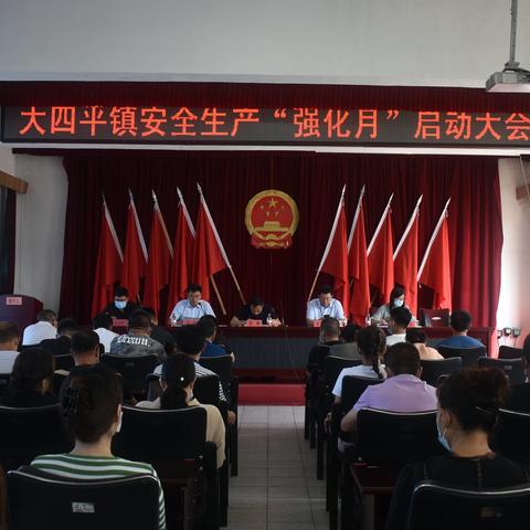 大四平镇全面启动“安全生产隐患排查集中整治月”活动