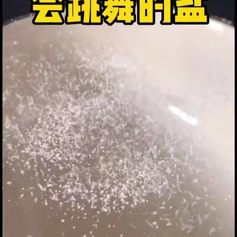 “童”趣居家 亲子“童”行——银通幼儿园中班级部线上亲子活动（第十期）