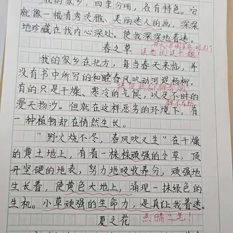 学生优秀习作