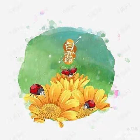 白露至 秋意浓——融辉理想幼儿园大班