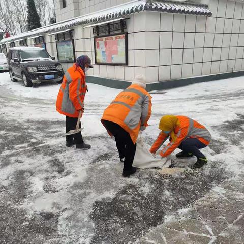 应战风雪，志愿通行，西张村开展扫雪除冰活动