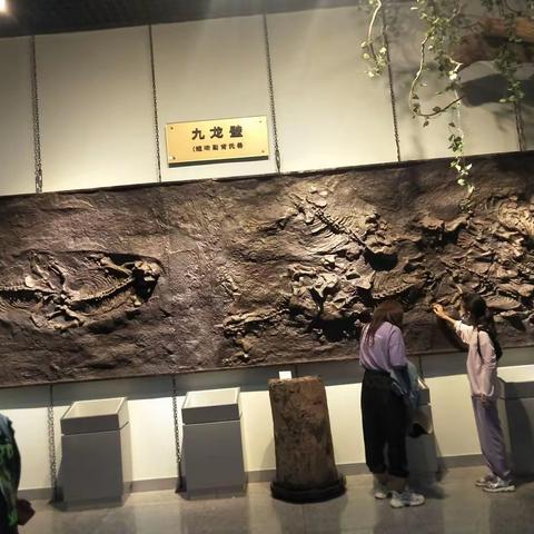 新疆之旅~~参观新疆地质矿产博物馆！