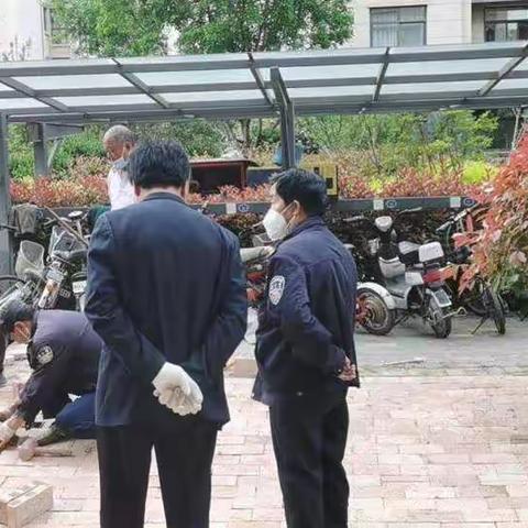 向日葵的美篇