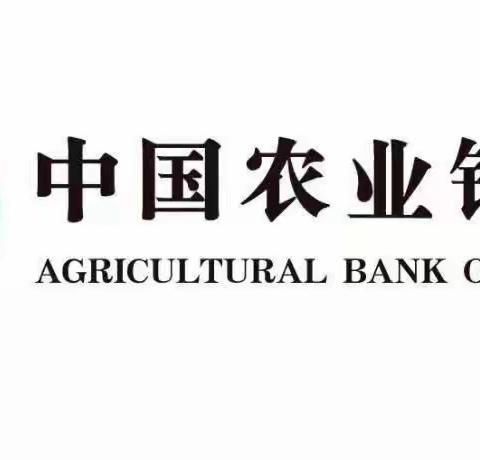 【第九天】中国农业银行金华武义县支行数字化转型导入小结