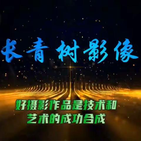 时光不老，我们不散