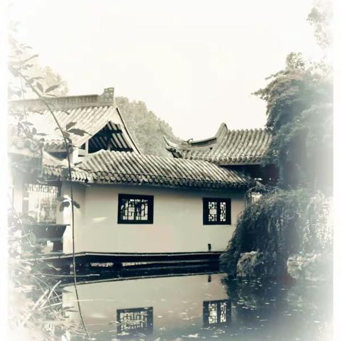 手机摄影练习——黑与白