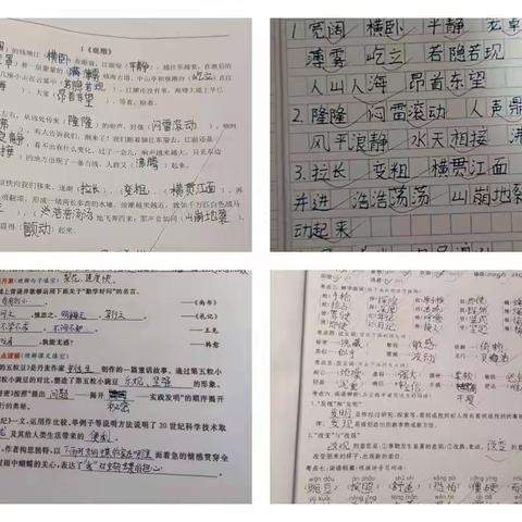 多彩作业，“语”你共赏——实验小学善南校区四年级语文特色作业展