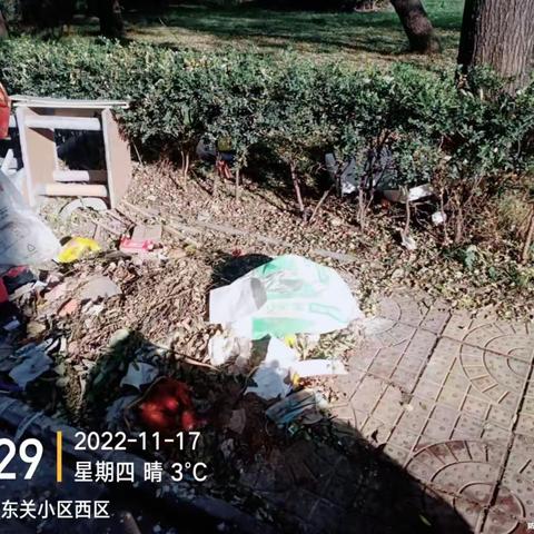 东街街道环境卫生整治工作动态