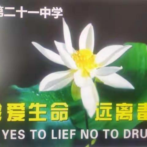 湛江市第二十一中学高二年级禁毒宣传月活动