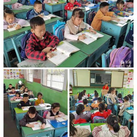 赵雨辰一年级上学期总结