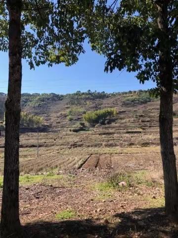 柳城小学“2020你好.寒假”之乡貌章