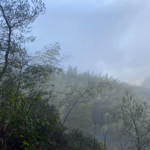 柳城小学四（3）七色花之家2023“双减下的寒假生活之乡貌章（丁奕茹）