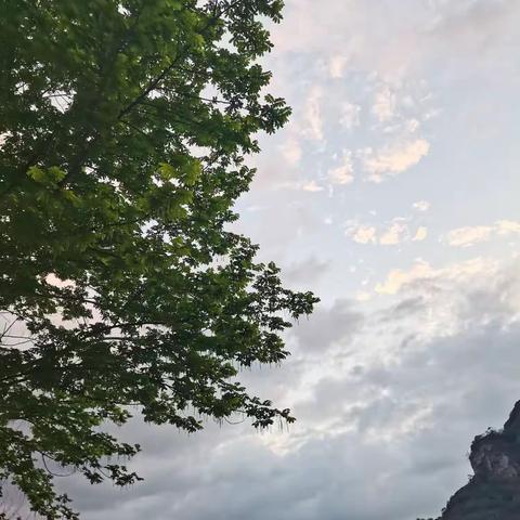 在天晴了的时候