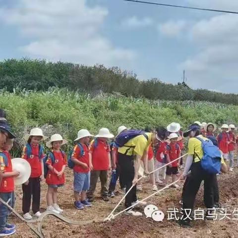 鲁湖田园亲子&环保公益周末一日营：植树+耕地+种菜+熬红糖+采摘+环保义工……