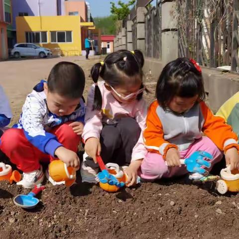 我们一起来种植——育龙幼儿园种植主题活动