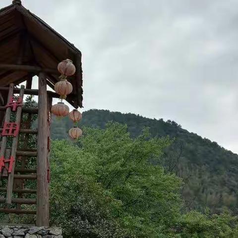 横峰县新联会开展“创新创业 复工复产 助力扶贫” 活动