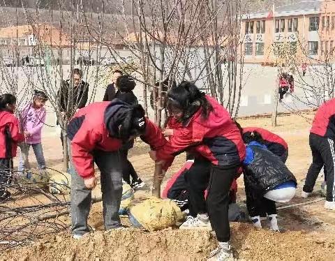 种绿色梦想 植美好未来 —— 平泉市宋杖子中心小学开展师生植树活动