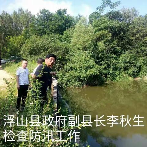 浮山县水利局依托河长制全力改善河道水环境