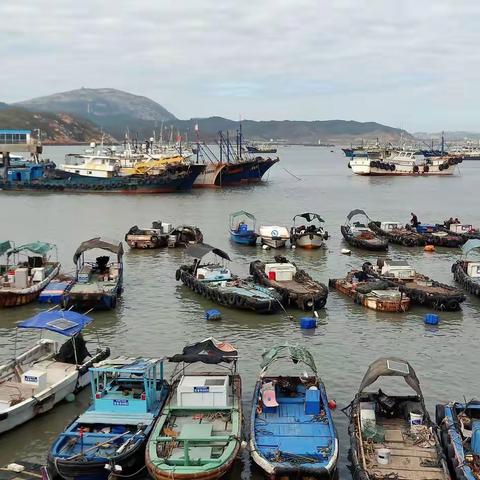 浯屿岛一日游