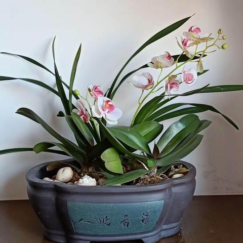 最美的角落