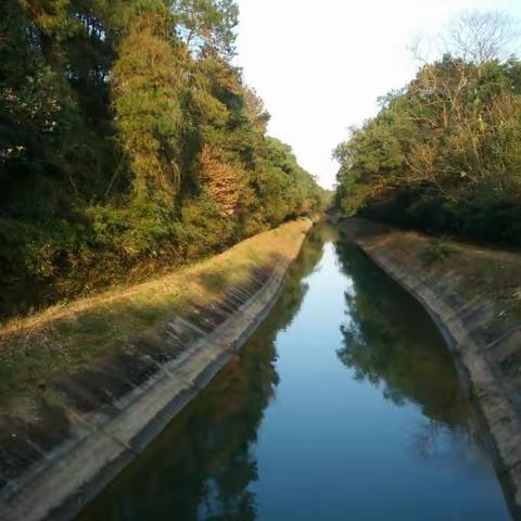 江南美景。好的风景不一定在远方，只要有心，处处都能发现美好。