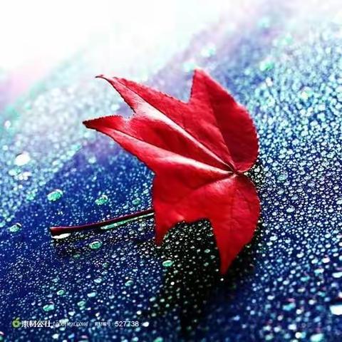 步韵奉和张文富老师重阳八首