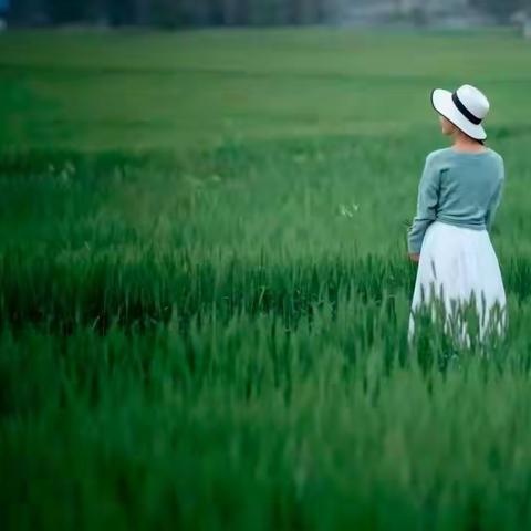 癸卯新春拾韵（词曲四章）