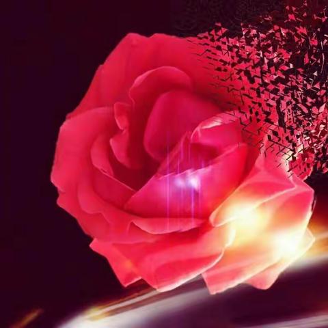 绿白娇娇羞翡翠，红黄灼灼醉婵娟