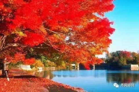 热烈祝贺党的二十大胜利召开